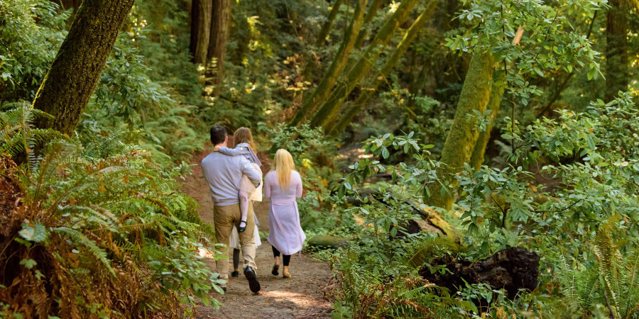 Nisene Marks Family and Maternity Photos - Aptos - Monica, Bob and Kids - photos by Bay Area family photographer Chris Schmauch www.GoodEyePhotography.com 