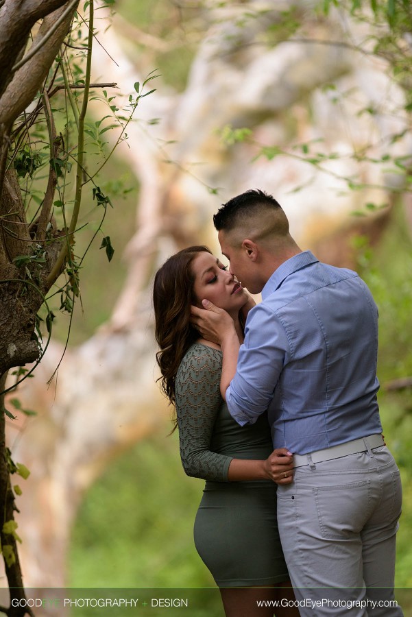 Engagement photos at Natural Bridges Beach in Santa Cruz – by Bay Area wedding photographer Chris Schmauch www.bestbayareaweddingphotographers.com