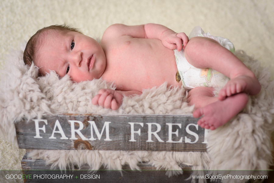 Newborn photos in Aromas, CA – by Bay Area family photographer Chris Schmauch www.GoodEyePhotography.com 