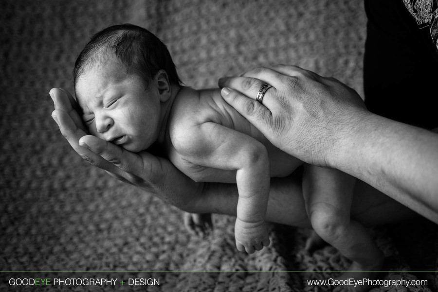 Newborn photos in Aromas, CA – by Bay Area family photographer Chris Schmauch www.GoodEyePhotography.com 