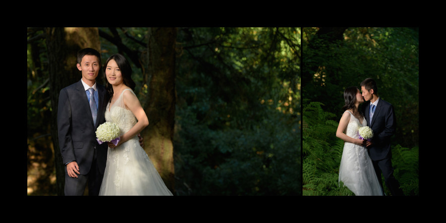 After wedding bridal portrait photography - Henry Cowell, Felton and Natural Bridges, Santa Cruz - by Bay Area wedding photographer Chris Schmauch www.GoodEyePhotography.com 