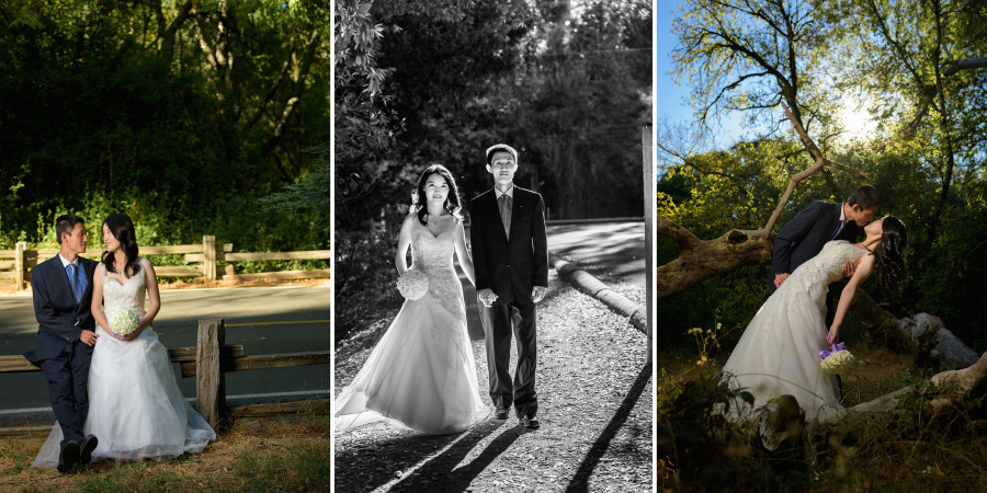 After wedding bridal portrait photography - Henry Cowell, Felton and Natural Bridges, Santa Cruz - by Bay Area wedding photographer Chris Schmauch www.GoodEyePhotography.com 