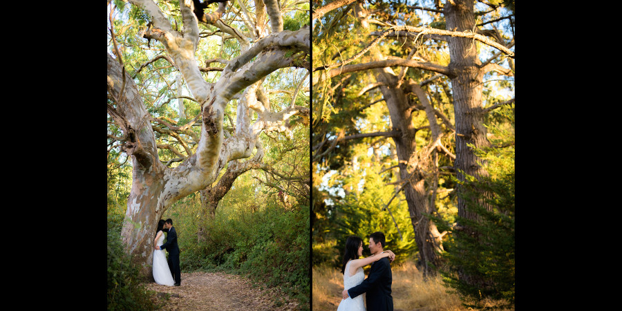 After wedding bridal portrait photography - Henry Cowell, Felton and Natural Bridges, Santa Cruz - by Bay Area wedding photographer Chris Schmauch www.GoodEyePhotography.com 