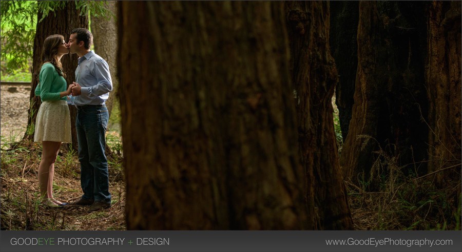 Felton Redwoods & Natural Bridges Santa Cruz Engagement Photos - Monica and Kevin - Photos by Bay Area wedding photographer Chris Schmauch www.GoodEyePhotography.com 