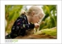 DSC_6933_web