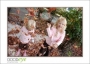 DSC_4860_web