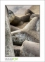 Cement Jacks02, DSC_7435_HDR_web