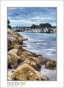 Seabright Beach Harbor Marina, DSC_7410_HDR_web