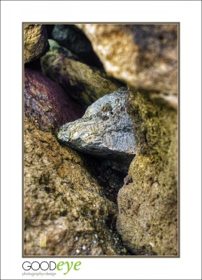 Shore Rocks, DSC_7400_HDR_web Shore Rocks, DSC_7400_HDR_web