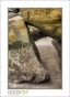 Shore Rocks02, DSC_7395_HDR_web