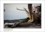 JennLeon_ES_d700-8866_web