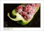 KaamaLounge_D3-0238_web