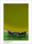 VillaLauriston_d3-0778_web