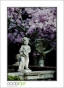 VillaLauriston_d3-0822_web