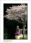 VillaLauriston_d3-0832_web