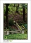 VillaLauriston_d3-0880_web