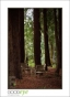 VillaLauriston_d3-0884_web