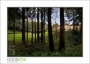 VillaLauriston_d700-0224_HDR_web