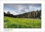 VillaLauriston_d700-0830_HDR_web