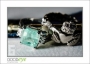 20_RachelThom_d300-9310_web