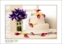 61_RachelThom_d700-2710_web