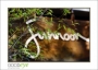 Junoon_d700-3276_web