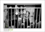 06_GaultMontereyAquarium_d3-5640_web