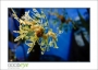 16_GaultMontereyAquarium_d3-5701_web