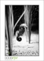 17_GaultMontereyAquarium_d3-5705_web