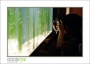 18_GaultMontereyAquarium_d3-5710_web