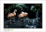 19_GaultMontereyAquarium_d3-5716_web