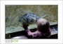20_GaultMontereyAquarium_d3-5731_web