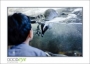 27_GaultMontereyAquarium_d3-5755_web