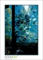 29_GaultMontereyAquarium_d3-5771_web