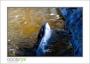 41_GaultMontereyAquarium_d3-5850_web