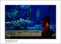 47_GaultMontereyAquarium_d3-5888_web
