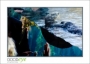 49_GaultMontereyAquarium_d3-5895_web