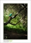 58_GaultMontereyAquarium_d3-5954_web