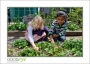 GaultStrawberryDay_d3-5464_web