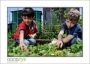 GaultStrawberryDay_d3-5502_web