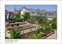 GaultStrawberryDay_d3-5504_web
