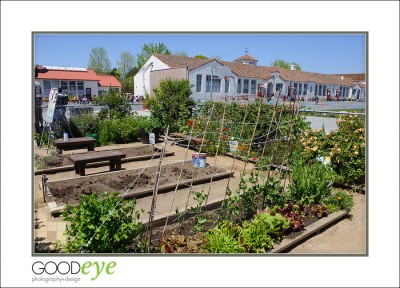 GaultStrawberryDay_d3-5504_web