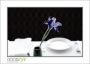 LionCompass_d3-6079_web