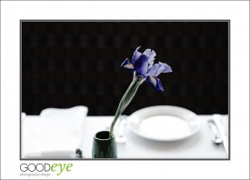 LionCompass_d3-6079_web
