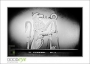 LionCompass_d3-6080_web