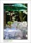 LionCompass_d3-6081_web