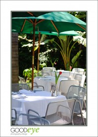 LionCompass_d3-6081_web