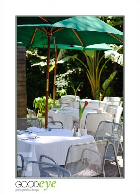 LionCompass_d3-6081_web LionCompass_d3-6081_web