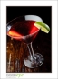 LionCompass_d3-6096_web