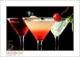 LionCompass_d3-6118_web